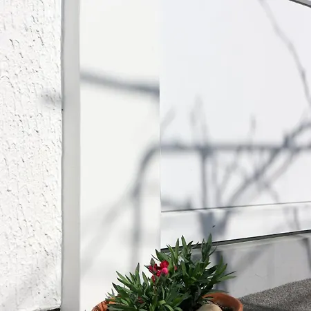 Wert House Apartment *