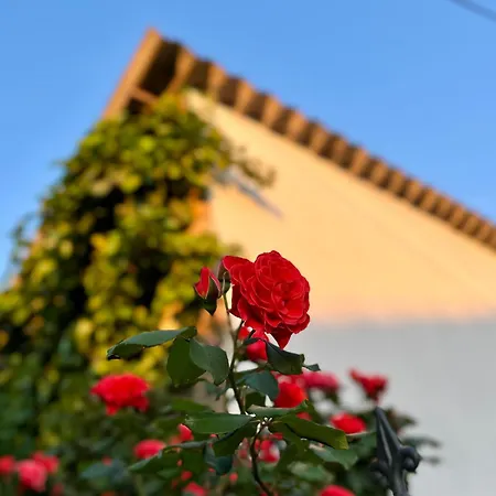 Wert House 公寓 诺威萨